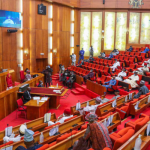 Senate postpones passage of 2023 Budget till Dec 28 over errors