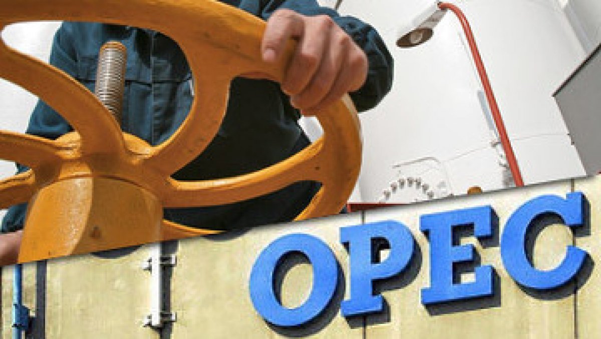 OPEC develops framework to stabilise global oil market
