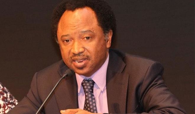 Shehu Sani throws weight behind nationwide protest