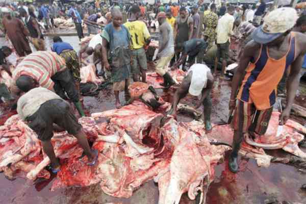 Lagos clamps down on illegal abattoirs, cattle markets