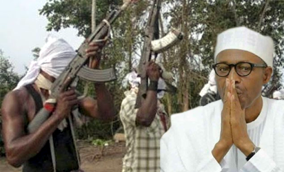 Buhari’s aide wants arms to be mopped in Niger-Delta