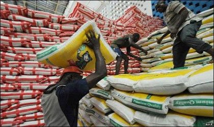 Rice production: Expert believes Nigeria can meet local demand