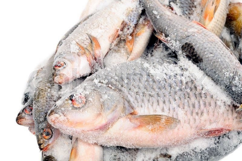 Idiroko Customs Command intercepts imported frozen fish