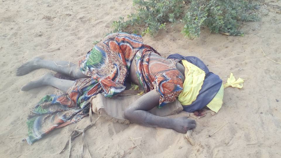 Two female suicide bombers die in Borno after detonating IEDs