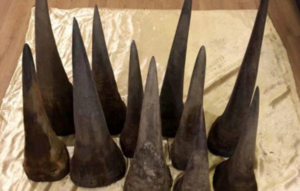 Zambia : Three Chinese held for smuggling rhino horns