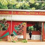 Ogba-zoo-TVCNews