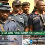 fake-naira-notes-TVCNews