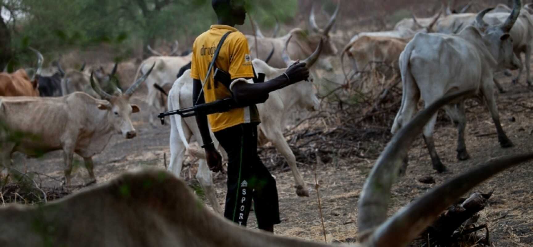 Herdsmen kill another farmer in Ekiti
