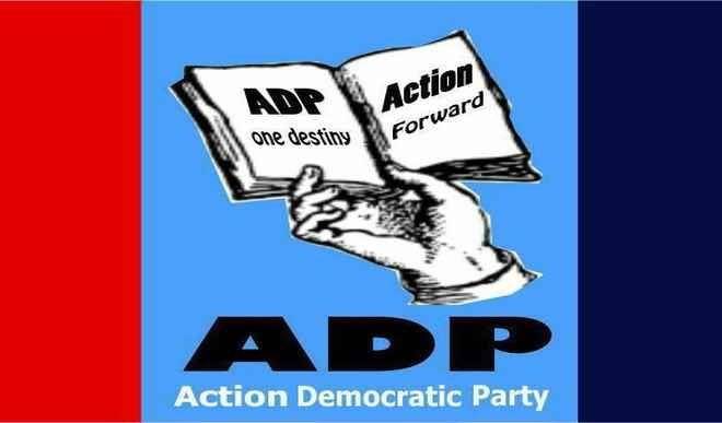 ADP decries killings in Nigeria, urges security agencies to stem tide