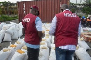Kano drug officials arrest two suspects with Narcotics