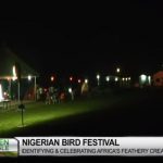 Nigerian Bird Festival
