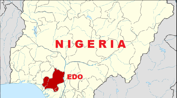 Edo must be free to elect its leaders – AEP