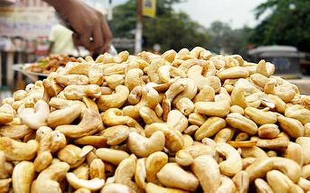NEPC wants Cashew nuts exporters to explore local processing