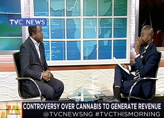 Why Cannabis has become a very controversial plant-Interview with Dr Tuyi Mebawondu