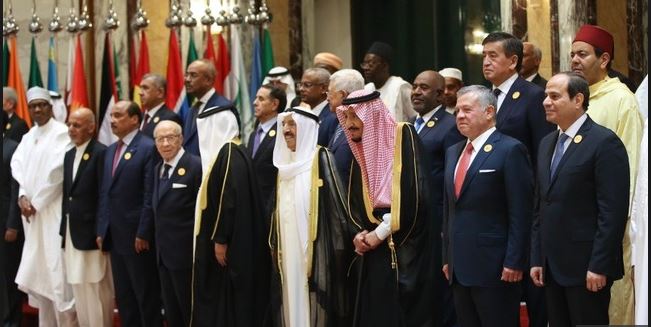OIC to aid fight against terrorism in countries around Lake Chad Basin