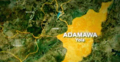 Two killed, six injured in Adamawa attack