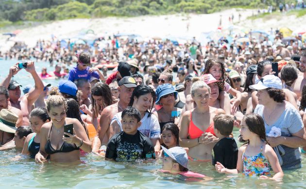 Australia experiences hottest day on record, more to come