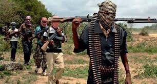 Boko Haram kills family of five in Yobe, locals flee to safety
