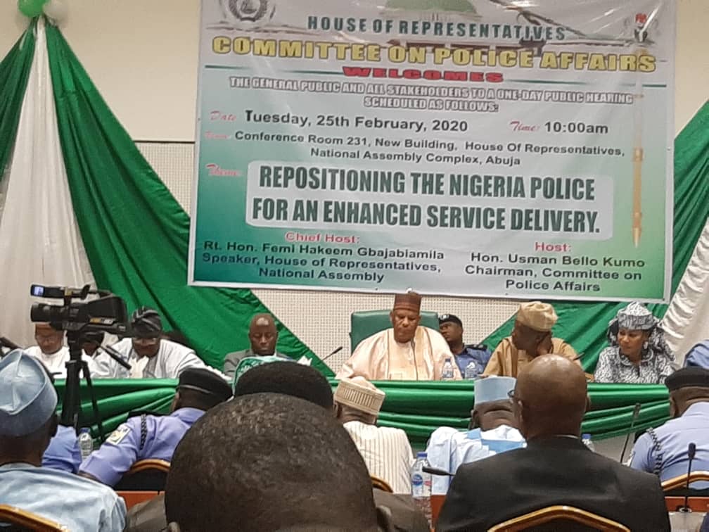 House of Representatives holds public hearing on security