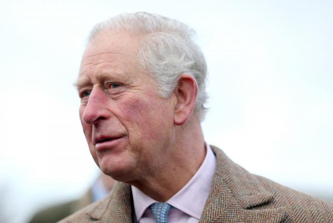 Image result for Prince Charles tests positive for the Coronavirus