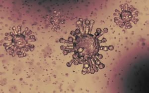 Coronavirus: All 50 states in U.S hit by pandemic