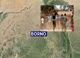 Boko Haram kills three members of CJTF in Damboa, Borno state
