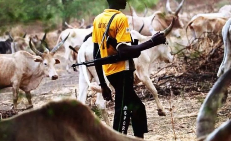 Nigeria: Herdsmen Kill Two Village Heads in Adamawa - allAfrica.com