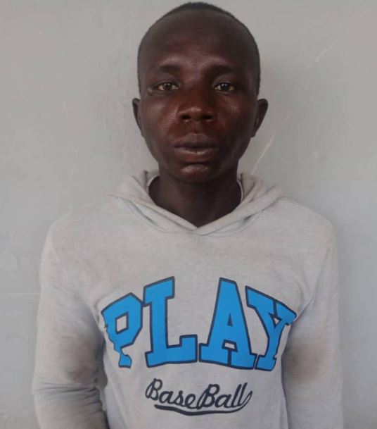 Police arrest serial rapist in Kano State
