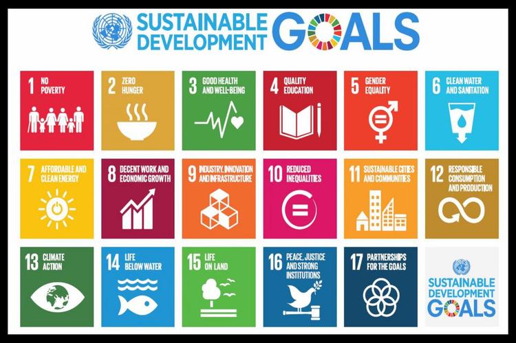 COVID-19 threatens implementation of SDGs – FG