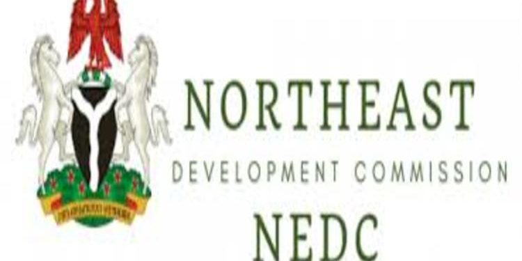 Civil Society Organisations to monitor NEDC activities – Nigeria News