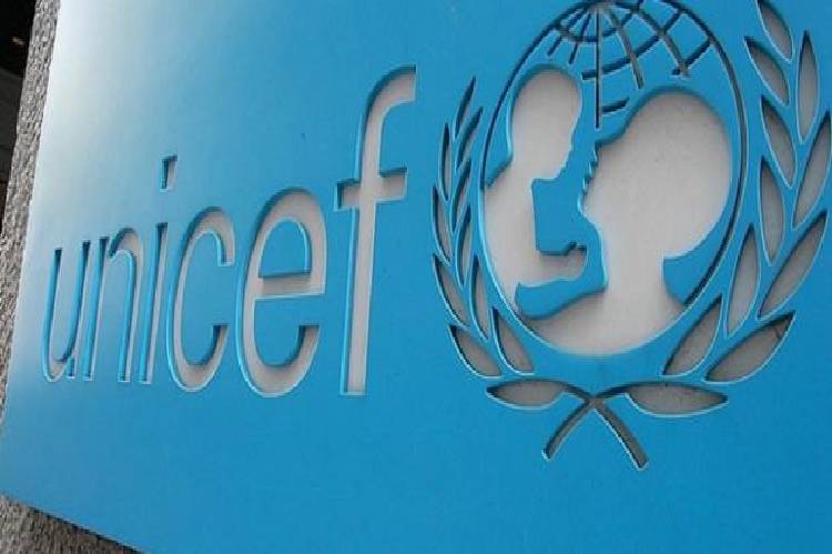 Adamawa: Germany, UNICEF to reconstruct schools in 2 LGs