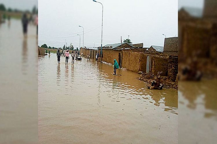 Flood submerges 50 houses, properties in Niger
