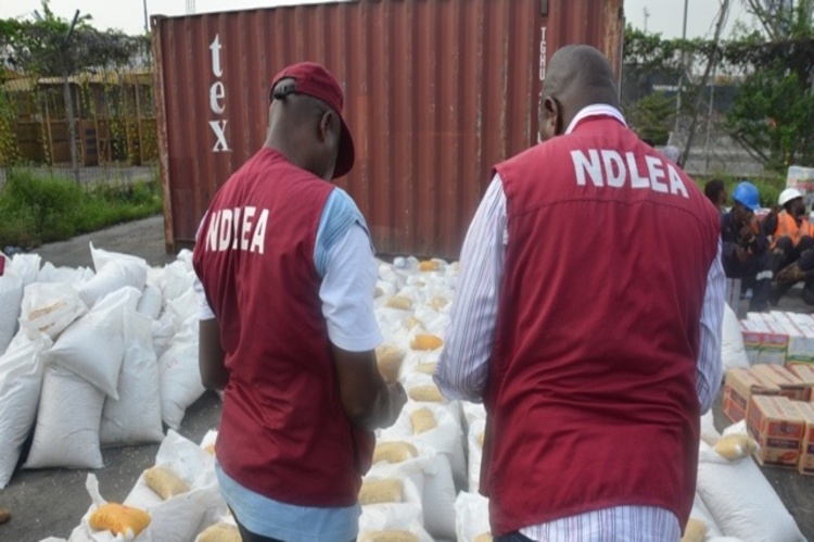 NDLEA seizes 1,500kgs illicit drugs in Zamfara