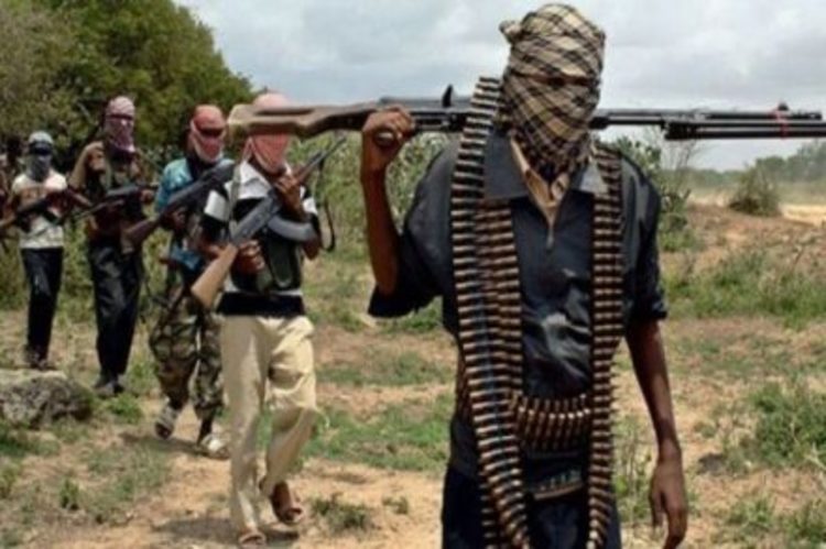 Bandits attack farmers, five Communities in Zamfara, kill forty-two