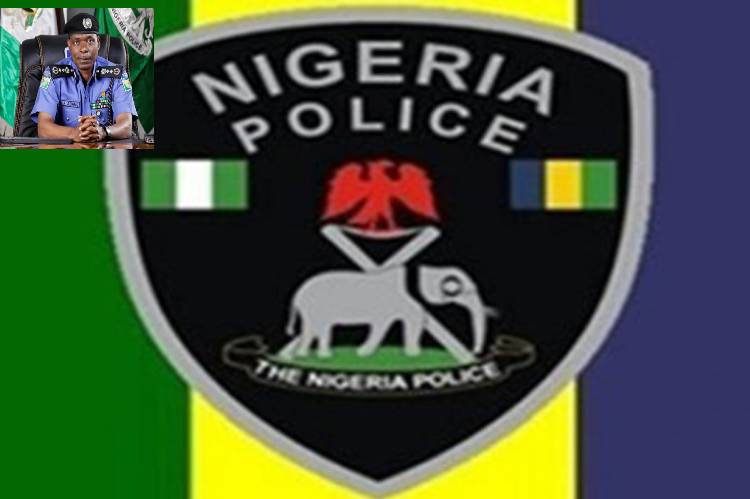 Sahara Reporters lied on IGP’s extension of service- NPF