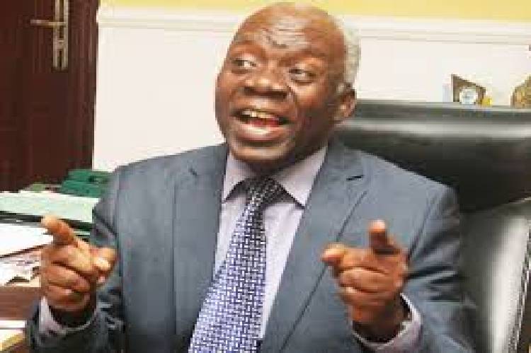 CBN can’t appeal court judgment unfreezing accounts of EndSARS promoters- Falana