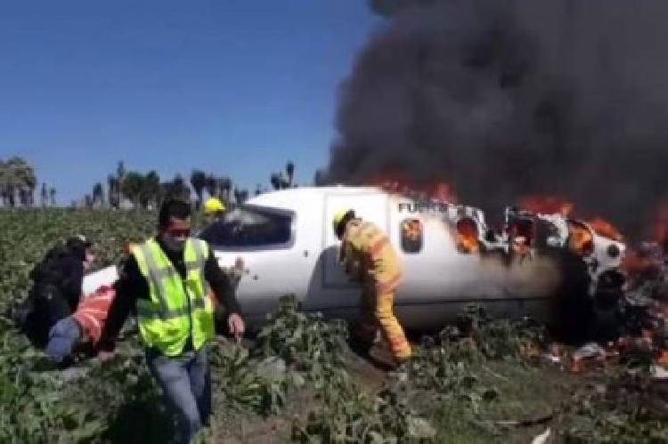 Six Mexican military personnel killed in air crash