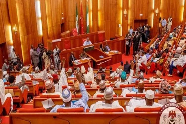 Senate asks President Buhari to post former service chiefs to insurgency prone neighbouring countries