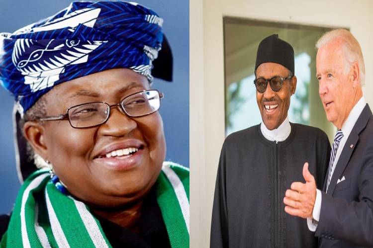 WTO: US endorsement of Okonjo-Iweala excites Nigeria, Africa – Buhari