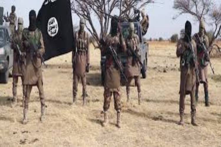 Boko Haram insurgents take over Dikwa in Borno State