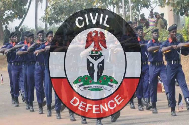 Over 50 pipeline vandals arrested in Imo- NSCDC