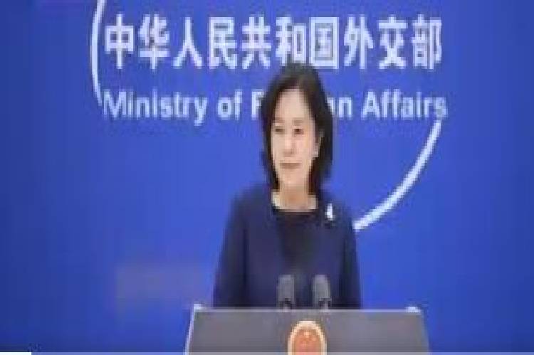 China refutes joint statement from 14 countries on WHO report