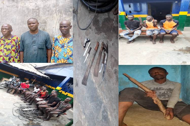 Police arrest 3 community leaders for murder, 12 others for various offences in Lagos