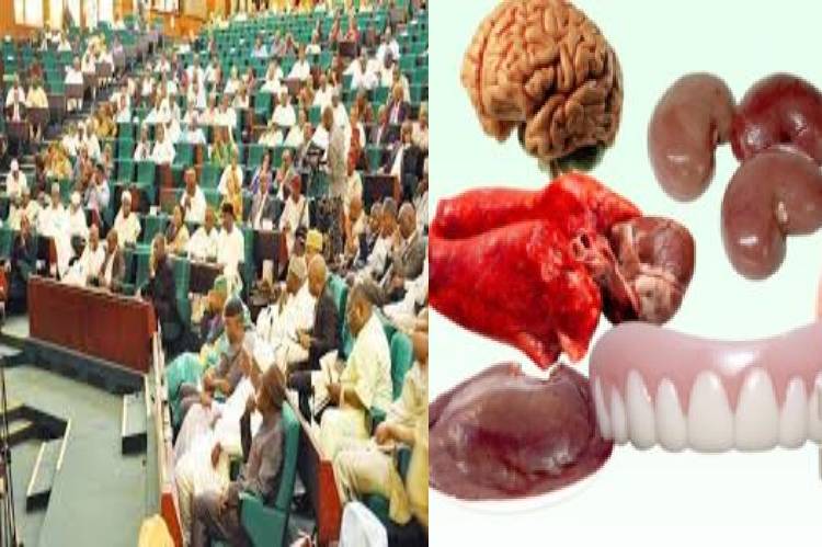 Reps to investigate alleged illicit trade in human organs between Nigeria, China