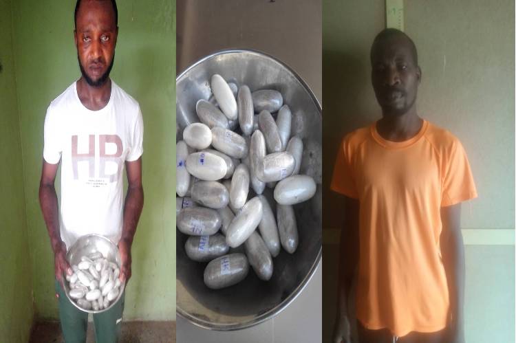 Two drug traffickers caught with N264m cocaine in Abuja