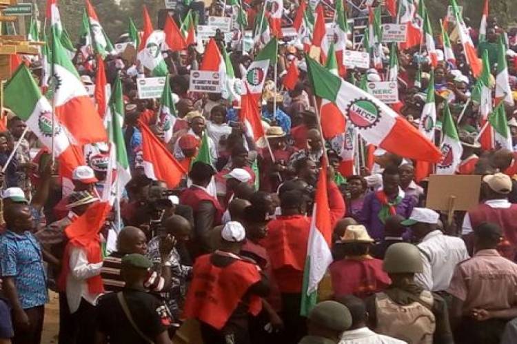 NLC to commence warning strike in Kaduna over sack of 4000 workers