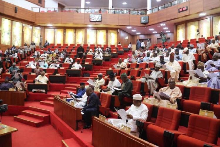 Senate suspends plenary until June 1 to commence review of 1999 Constitution