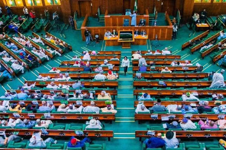 House of Reps to begin Zonal hearing for constitution review in June