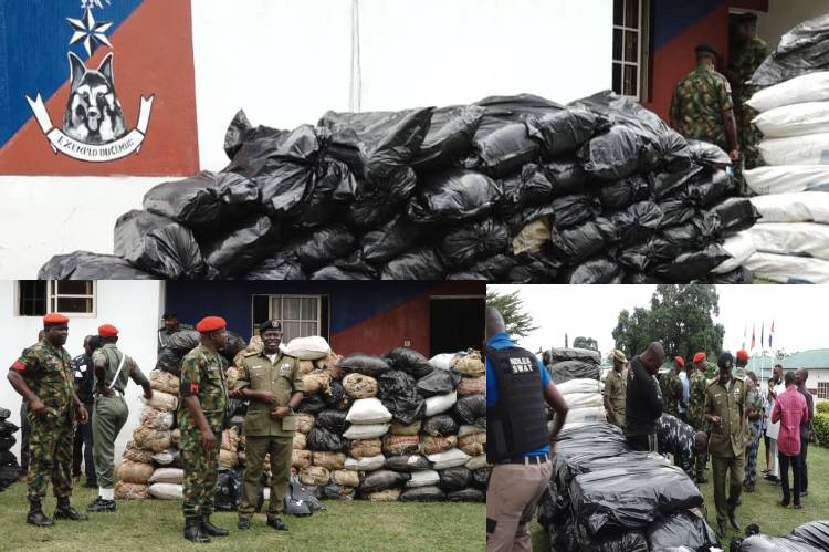 Soldiers intercept 132 bags of Indian hemp in Ondo