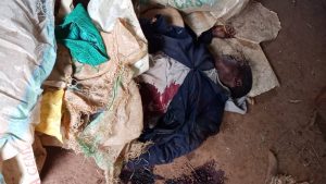 Latest news on plateau attack: Plateau: Gunmen attack Bassa LGA, kill seven, raze houses